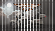 3D штакетник Омега  Harley-Davidson